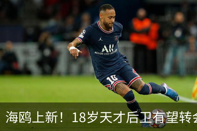 海鸥上新！18岁天才后卫有望转会英格兰，天赋顶级布莱顿要买